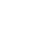 logo footer