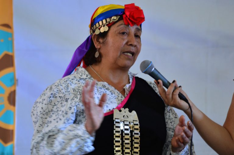 Isabel Currivil Nahuel, textilera mapuche:  “El telar es mi pasión y merece respeto”