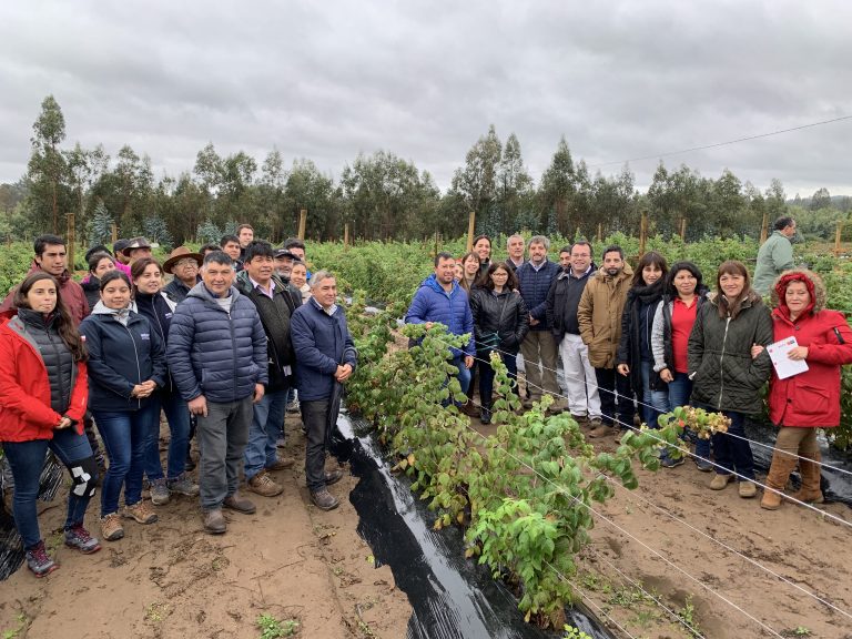 Firman acuerdo de colaboración para impulsar el crecimiento de los productores de La Araucanía