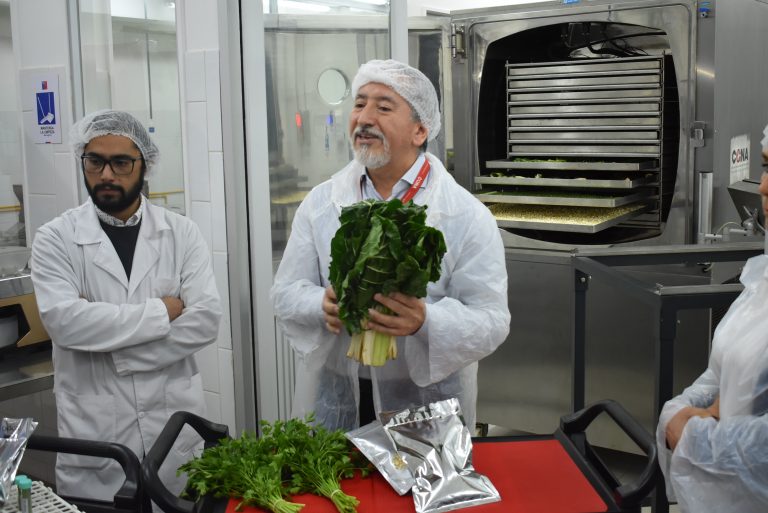 Alimento y suplemento vitamínico de hortalizas de La Araucanía