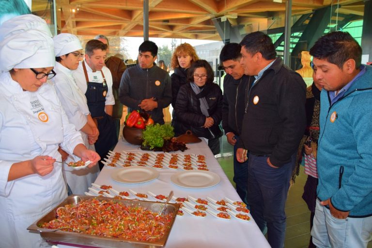 Pabellón Araucanía destaca aporte cultural de los cochayuyeros en exitoso inicio de actividades por el Día del Patrimonio Cultural