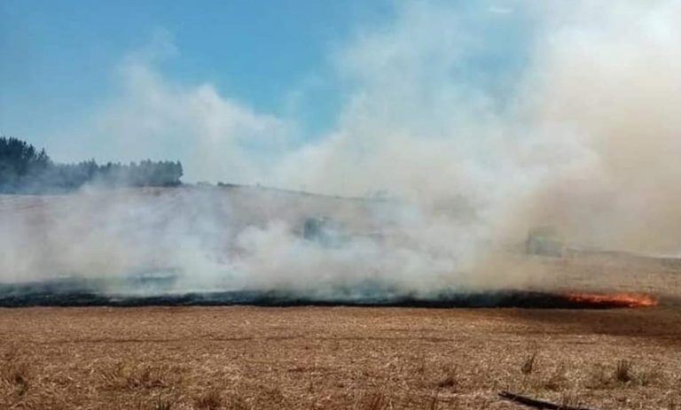 Desalojo de comunidades mapuche termina con incendio de rastrojo