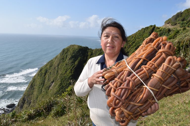 María Cristina Llancapan: recolectora de algas de orilla y emprendedora