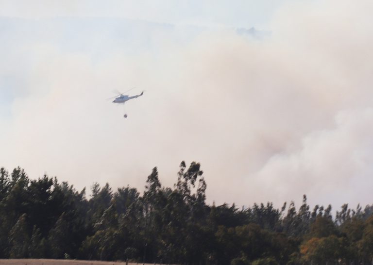 Emergencia forestal movilizó gran operativo para proteger viviendas en sector Bolilche