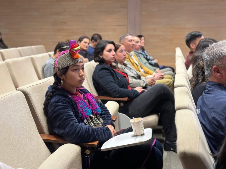 Las rutas viales de los pueblos ancestrales: proyecto académico multinacional apoyado por CMPC llega a su fin y se convertirá en un libro