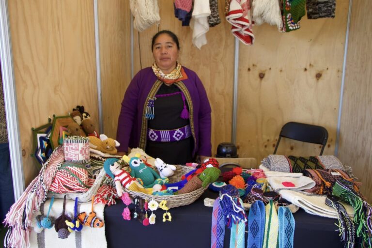 Feria Expo Mujer Mapuche Territorio Nagche en Cholchol