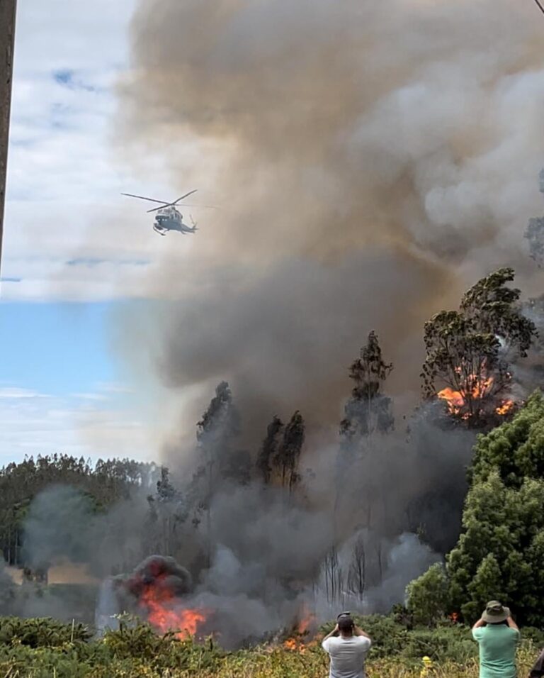 Incendio forestal sector Cudico en riesgo 25 casas y un colegio
