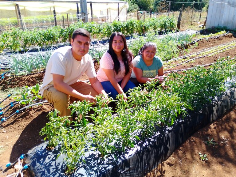 Emprendedora del Centro demostrativo de Lechuga Hidropónica“Bondades de Lliuco”