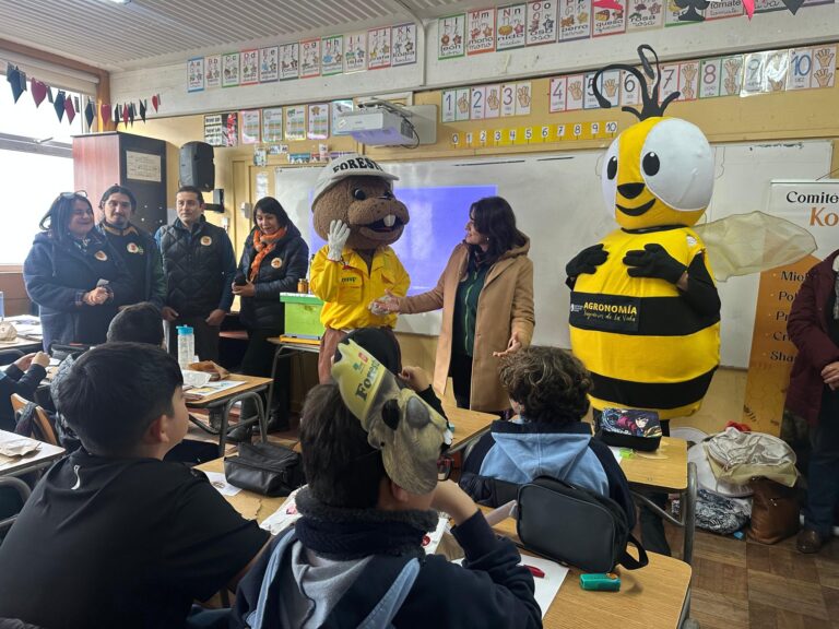 Apicultores de La Araucanía conmemoran Día Mundial de las Abejas y destacan su rol en la agricultura