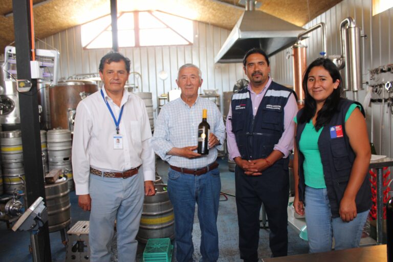 Viñedos surgen como alternativa productiva para pequeños agricultores de La Araucanía  