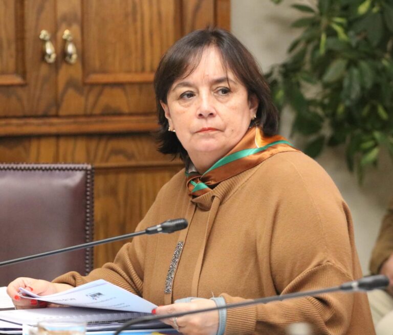 Día Mundial de las Abejas: Senadora Aravena destaca avances de la Ley Apícola en Chile