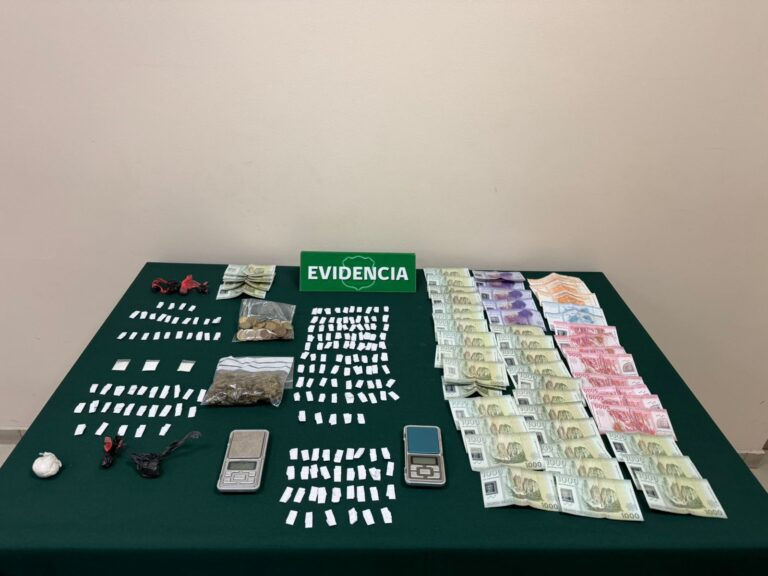 Carabineros de Nueva Imperial detiene a dos individuos desbaratando mercado ilícito