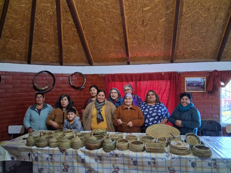 Talleres en Fibras Vegetales rescatan sabiduría ancestral en Poculón