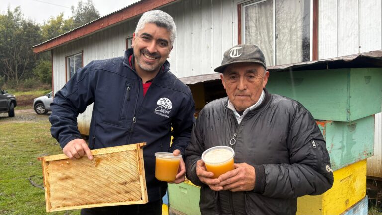 Municipio de Cholchol busca fortalecer la Apicultura Local mediante estudio de Caracterización Nutricional de La Miel