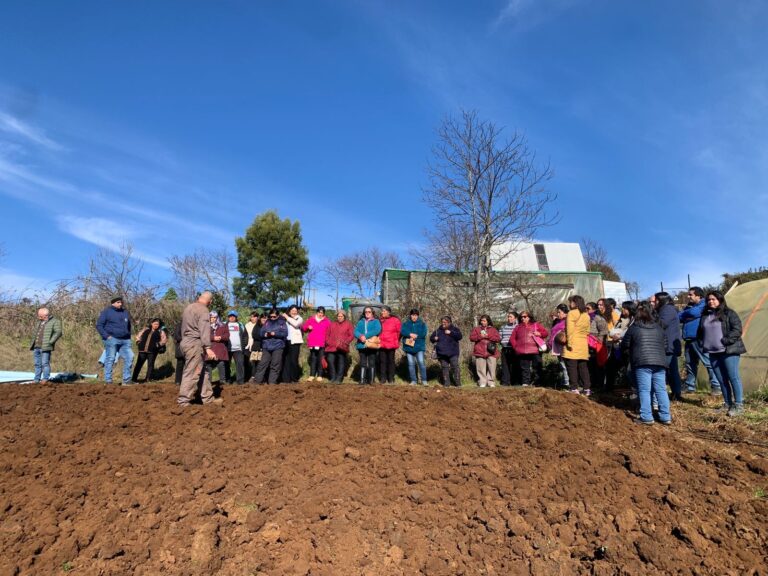 Gira Técnica PDTI fortalece saberes en Hortalizas de Invierno en la Costa de La Araucanía 