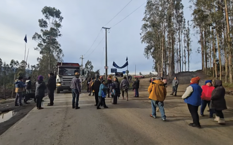 Comunidad del Lof Cólico se moviliza por incumplimientos de forestales en su territorio