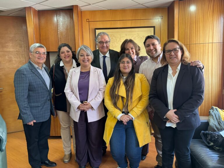 SenadorHuenchumilla y reunión de la directiva DC con Jeannette Jara: “Vamos a integrarnos al comando en las distintas esferas y niveles”