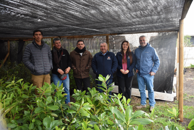Municipalidad recibió donación de 600 plantas de árboles nativos