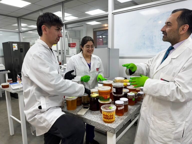 Universidad Autónoma de Chile lidera estudio pionero para caracterizar nutricionalmente la miel de Cholchol