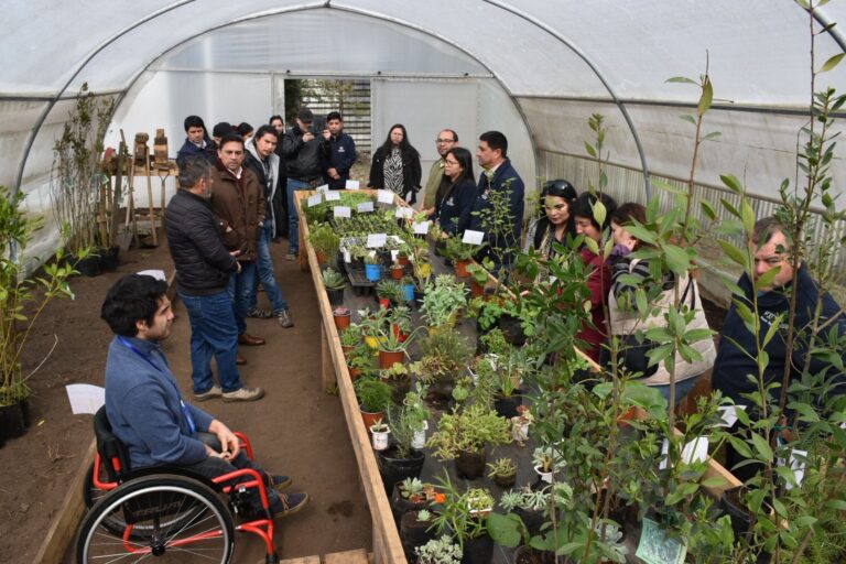 Inauguración del invernadero municipal que beneficia a personas en situación de discapacidad que trabajan al alero de la Municipalidad