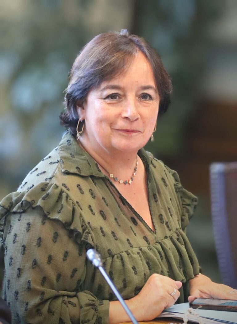 Senadora Carmen Gloria Aravena valora nueva ley que impulsa la presencia de mujeres en directorios: “La Araucanía también necesita más mujeres en la toma de decisiones” Senadora Carmen Gloria Aravena valora nueva ley que impulsa la presencia de mujeres en directorios: “La Araucanía también necesita más mujeres en la toma de decisiones”